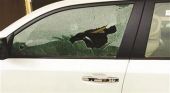 الداخلية الكويتية: لا إطلاق نار في سلوى وسيارة دشتي تحطمت بـ 