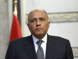 وزير الخارجية المصري يرحب بموافقة الحوثين على الهدنة في اليمن