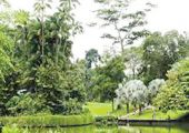 إدراج حدائق نباتية في سنغافورة ضمن قائمة التراث العالمي