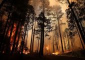حريق غابات في كاليفورنيا يهدد المنازل ويجبر السلطات على اجلاء السكان