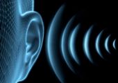 دراسة تربط بين التعرض للضوضاء والإصابة بمرض القلب