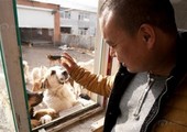 مليونير صيني ينفق كامل ثروته على الكلاب المشردة