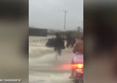 بالفيديو... سلسلة بشرية لإنقاذ رجل من الطوفان