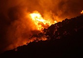 جهود حثيثة في استراليا لاحتواء حرائق غابات