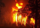 حرائق غابات ضخمة تلتهم عشرات المنازل في استراليا