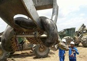 بالصور.. أضخم ثعبان في التاريخ بالبرازيل يحتاج لرافعة لنقله