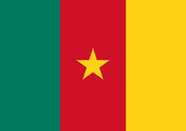 اعتداء انتحاري مزدوج يسفر عن 6 قتلى في أقصى شمال الكاميرون