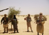 مجلس الأمن الدولي يحث على تنفيذ اتفاق السلام في مالي
