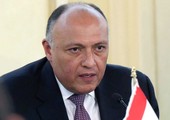 وزيرا خارجية مصر وسلوفاكيا يبحثان جهود مكافحة الإرهاب