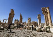 العثور على مقبرة جماعية شرق مدينة تدمر السورية