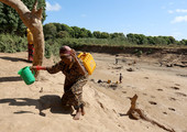          الأمم المتحدة: آلاف قد يموتون جراء الجفاف بالصومال مالم تضاعف جهات مانحة مساعداتها 