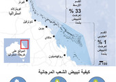 انفوجرافيك... الحاجز المرجاني العظيم في استراليا