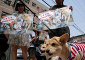 بالصور... نشطاء يقدمون التماساً لوقف مهرجان صيني للحوم الكلاب