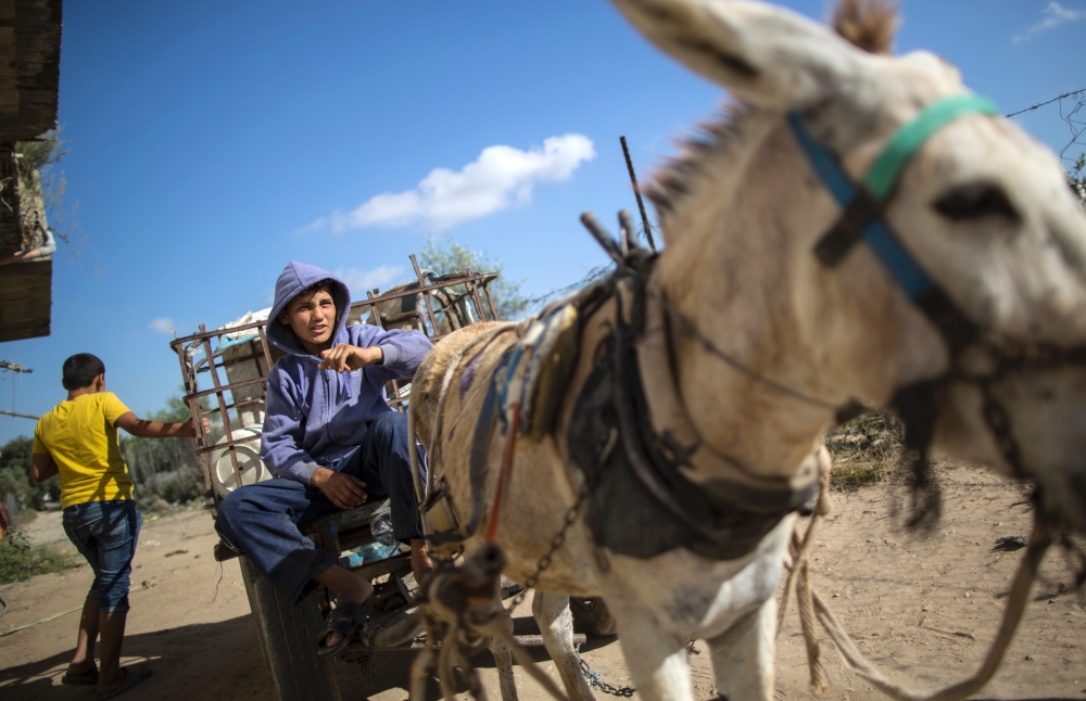 بالصور الفقر في غزة يزيد من عمالة الأطفال منوعات صحيفة الوسط البحرينية مملكة البحرين