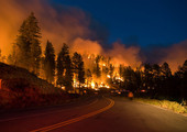 إجلاء المئات بسبب حرائق الغابات في كاليفورنيا ونيو مكسيكو