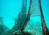انطلاق مشروع دولي لالتقاط شباك الصيد الهائمة في بحر البلطيق