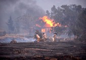 حريق غابات يدمر أكثر من 50 مبنى بوسط كاليفورنيا