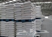 تجار: مصر تشتري 150 ألف طن من السكر الخام