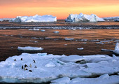 ذوبان الجليد في التربة الصقيعية يهدد بإيقاظ فيروسات دفينة في روسيا 