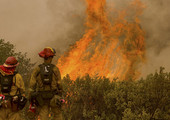 أكثر من 17 ألف رجل إطفاء يشاركون في إخماد حرائق هائلة في الولايات المتحدة