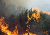 إصدار تحذيرات من اندلاع حرائق غابات في ست أقاليم بإندونيسيا