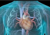 نصائح هامة لتجنب خطر الذبحة القلبية