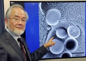«نوبل الطب» 2016... تذهب إلى الياباني «سوشينوري أسومي»