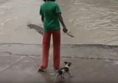 بالفيديو: امرأة تخيف تمساحا ضخما بطريقة غريبة!
