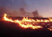 حرائق الغابات تحرق 22 منزلاً في نيفادا