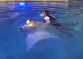 بالفيديو... عروس سورية تغرق في حوض السباحة خلال حفل الزفاف!