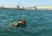 مواطنون يطالبون بصيانة الإشارات البحرية المتضررة حفاظاً على سلامة مرتادي البحر