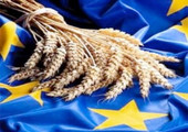 الزراعة العضوية تواصل نموها في الإتحاد الأوروبي