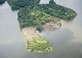 الأنشطة الصناعية في غابات الأمازون تهدد بالقضاء على السكان الأصليين
