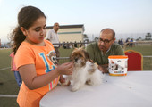 بالصور... جمعية رعاية الكلاب تنظم مهرجانها العائلي الأول، ورئيسها: سيكون مهرجاناً سنوياً