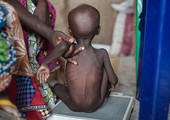 منظمة: 200 طفل يواجهون خطر الموت جوعاً يومياً في نيجيريا