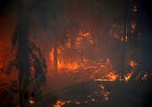 بالصور... إجلاء آلاف وسط تأجج حرائق الغابات في أنحاء إسرائيل