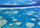 استراليا تقدم للجنة التراث العالمي تحديثاً حول الاجراءات الجديدة لحماية الحاجز المرجاني العظيم
