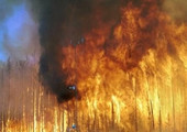 ارتفاع حصيلة وفيات حرائق الغابات في تينيسي الأميركية إلى 10 أشخاص