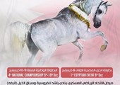 انطلاق مهرجان البحرين للجواد العربي في الثامن من ديسمبر الجاري