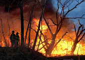 حرائق الغابات تأتي على آلاف الكيلومترات بالمناطق الريفية في الأرجنتين