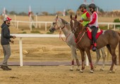 بالصور... ناصر بن حمد يرحب بالنقل المباشر لقنوات دبي ريسنغ وياس والرياضية البحرينية لكأس جلالة الملك للقدرة