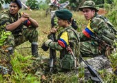متمردو جماعة فارك سيبدأون عملية لنزع السلاح في كولومبيا