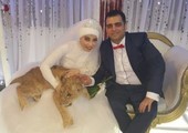 بالصور: عروس مصرية تصطحب أسدا في زفافها.. فكيف كانت رد فعل المدعوين؟!