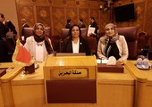  تجربة البحرين الاستخدام الأمثل للمضادات الحيوية أحد مخرجات اجتماع مجلس وزراء الصحة العرب 