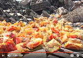 بالفيديو... «الوسط» ترصد التخلّص من مواد غذائية بأحد سواحل المحرق