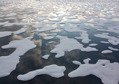 احتواء الاحترار دون 1.5 درجة سينقذ الاطواف الجليدية في القطب الشمالي