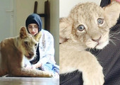 بالفيديو... سعوديات يعشقن ترويض الحيوانات