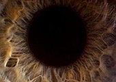 دراسة: حدقة العين تكشف الشعور بعدم اليقين