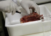 مفوض أوروبي يدعو البرازيل لفرض رقابة مستقلة على صناعة اللحوم