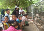 حديقة حيوانات بلفيدير في تونس تعود إلى الحياة بعد حادثة قتل تمساح 
